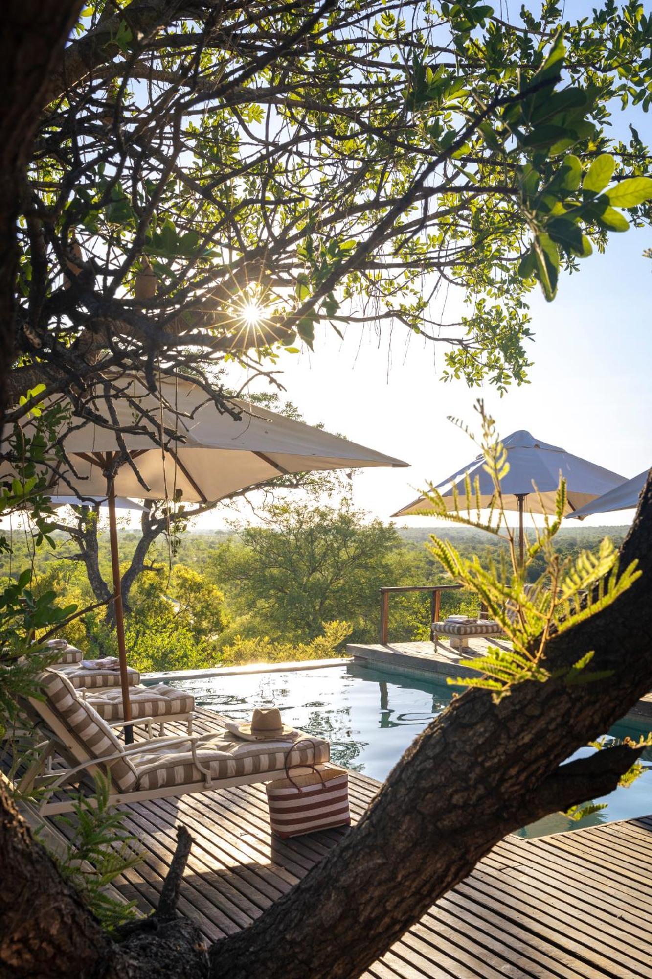 Simbavati Hilltop Lodge Timbavati viltreservat Exteriör bild