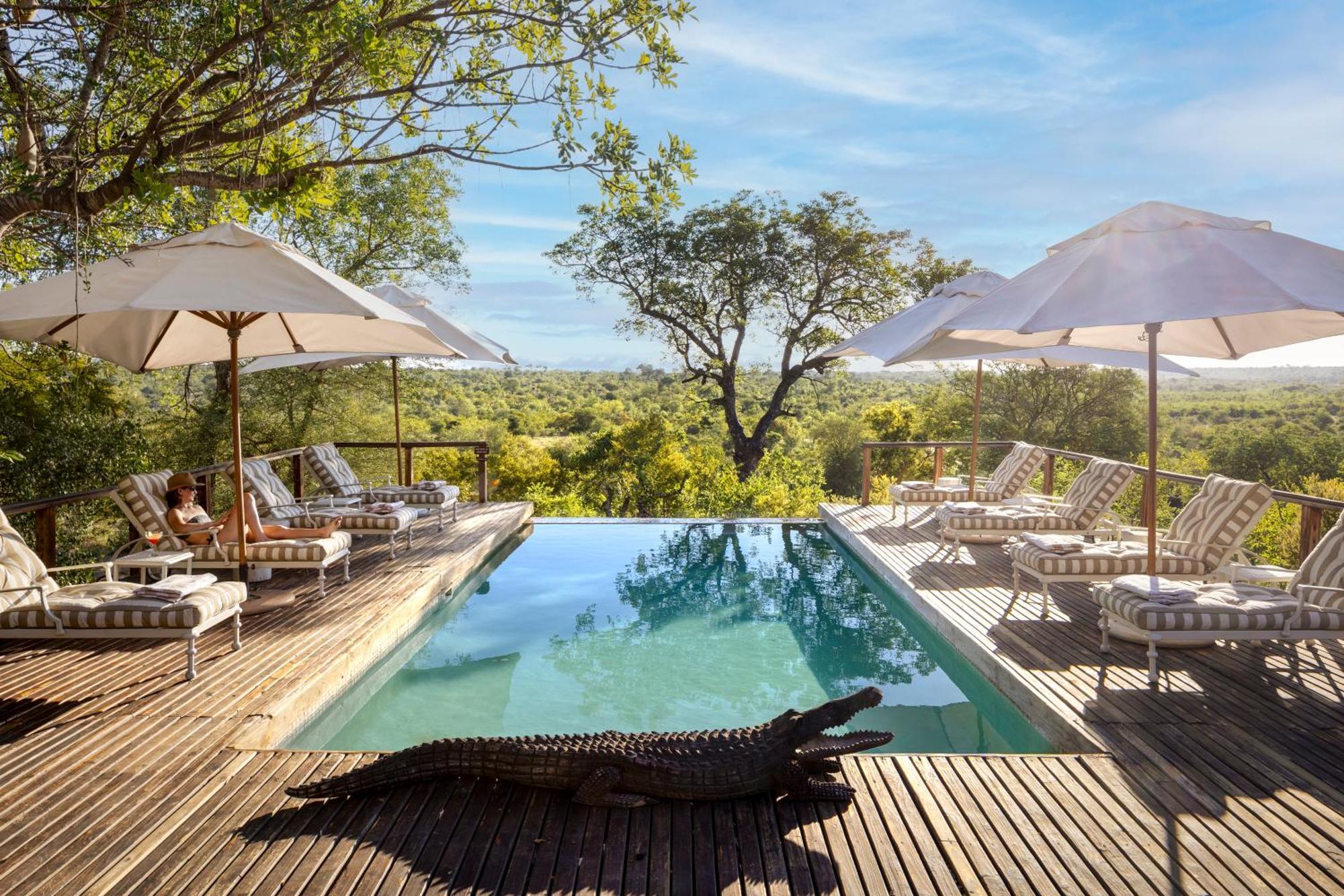 Simbavati Hilltop Lodge Timbavati viltreservat Exteriör bild