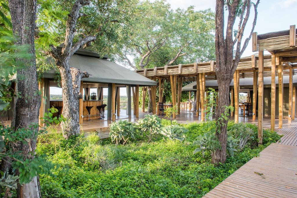 Simbavati Hilltop Lodge Timbavati viltreservat Exteriör bild