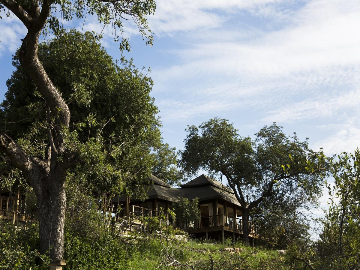 Simbavati Hilltop Lodge Timbavati viltreservat Exteriör bild
