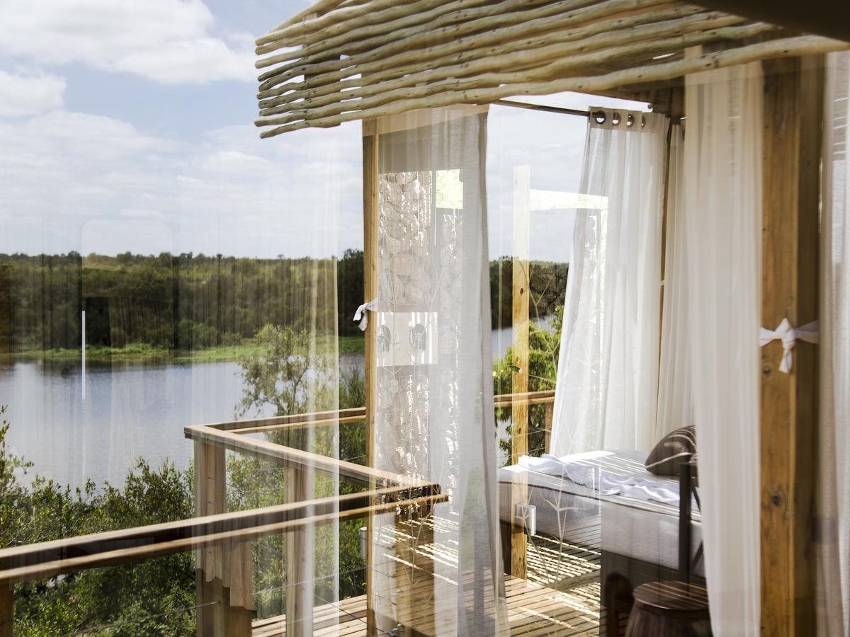 Simbavati Hilltop Lodge Timbavati viltreservat Exteriör bild